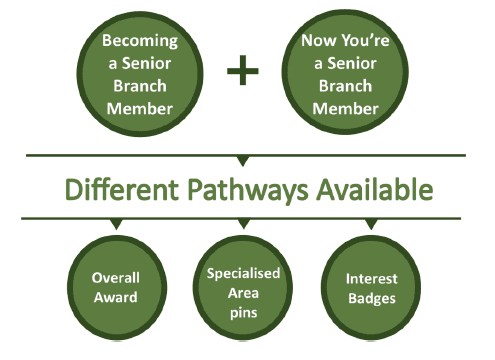 senior pathways