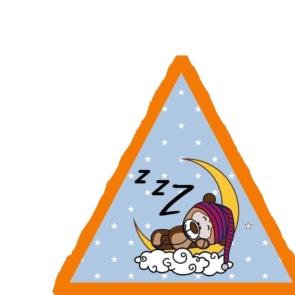 Ladybird-Sleepover-Badge2.jpg