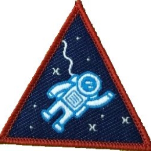 Ladybird-Space-badge.jpg