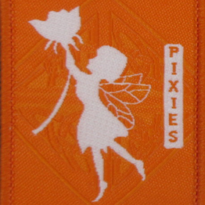 Pixies New Bage