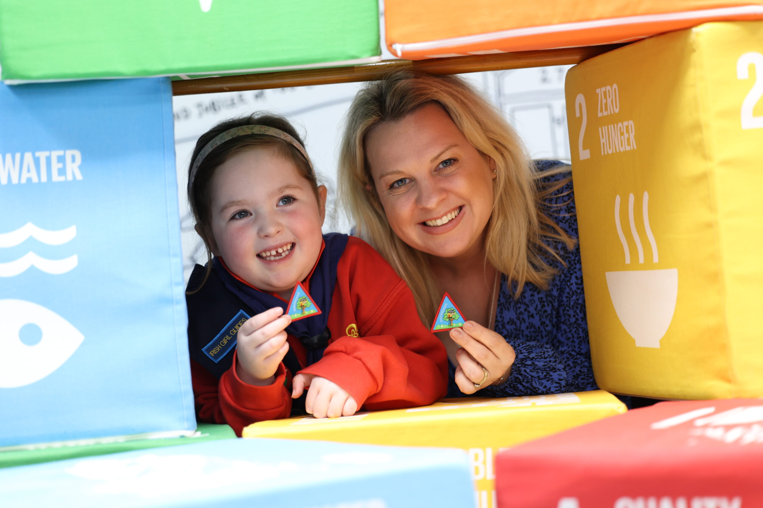 Ladybirds Engineering Badge - Engineers Ireland