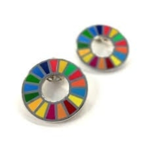 UN-SDG-Pin.jpg