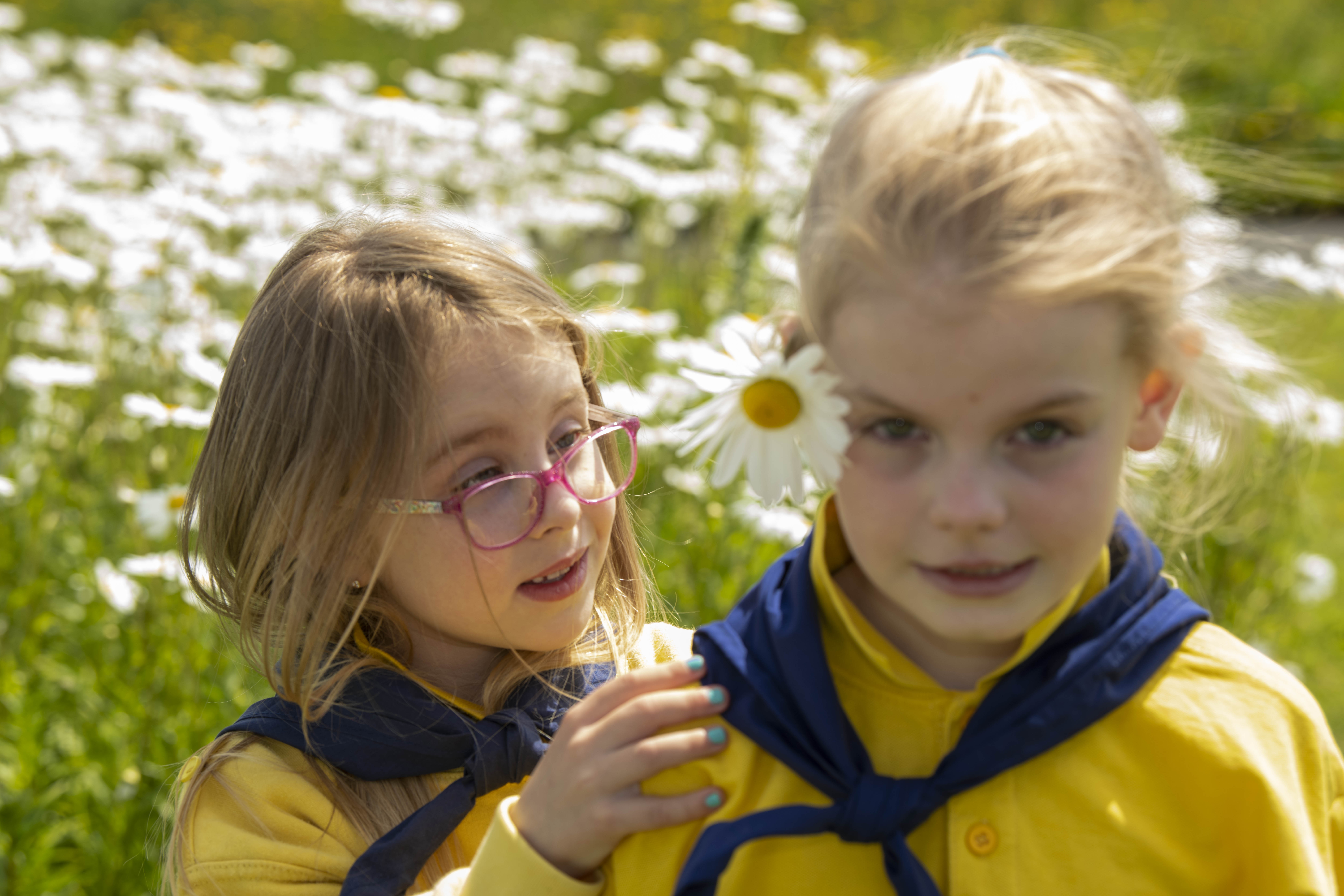  Brownies-flowers-outdoor-ethic-activities
