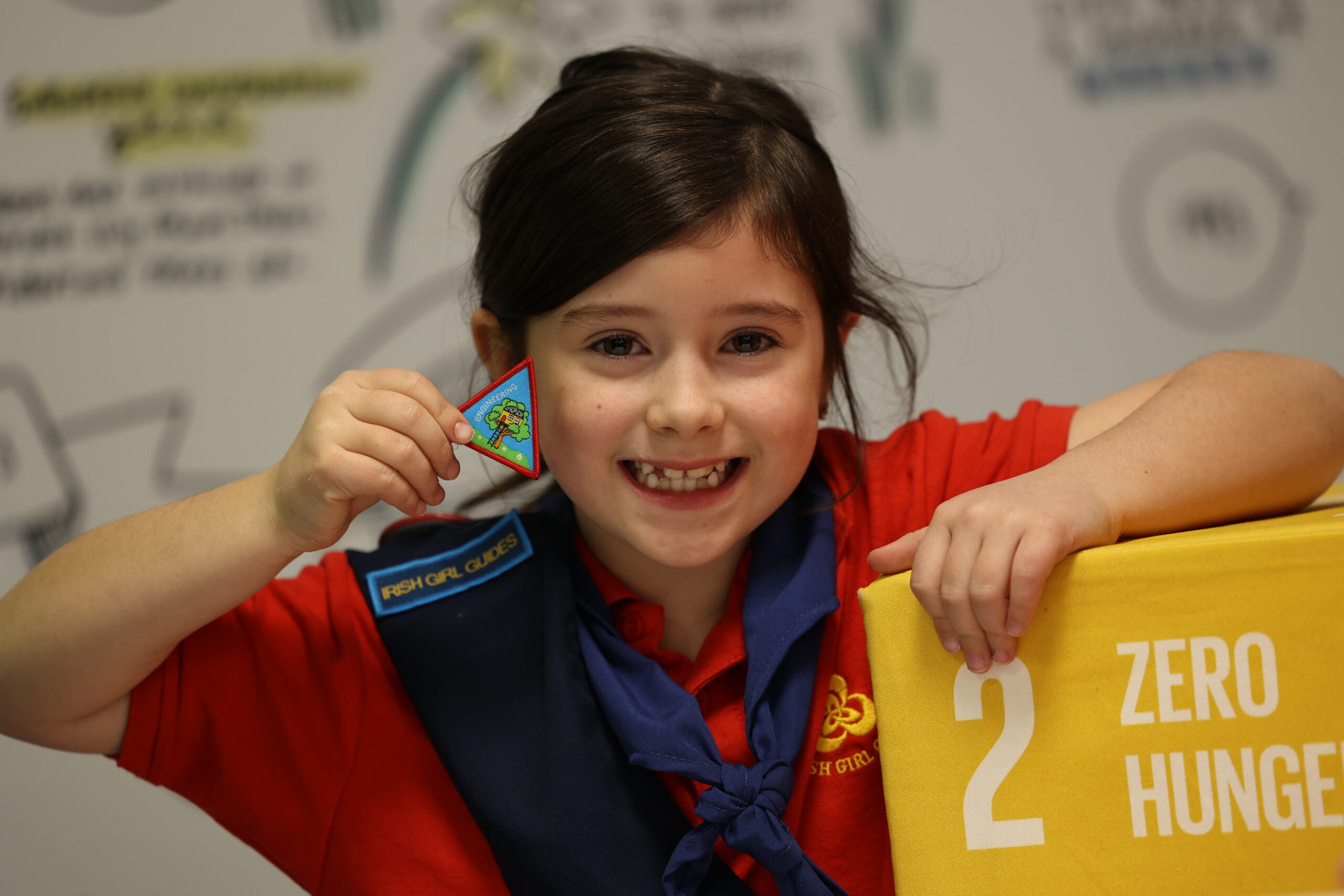 Ladybirds Engineering Badge